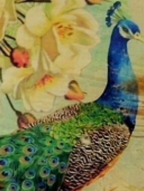 RARE Peacock Art Glass Serving Platter 12 x 9 In w Gold Sealant On Back